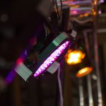 IMG_9712